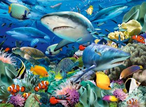 Jigsaw Puzzle Shark Reef