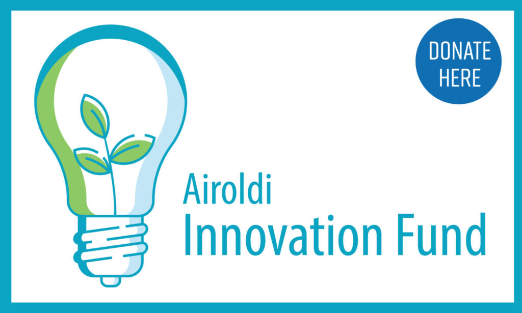 Airoldi Innovation Fund: Give Here.