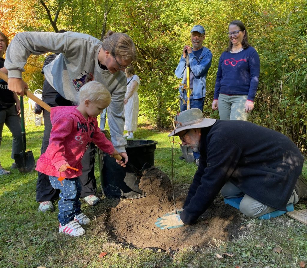 group of people planting a tree