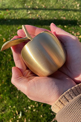 Golden Apple Award